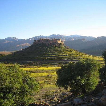 ホテル Tizourgane Kasbah Tiguissas エクステリア 写真