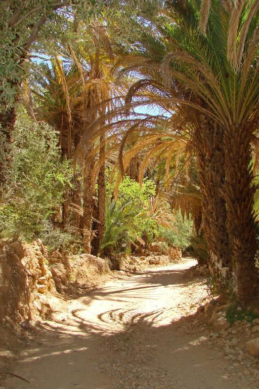 ホテル Tizourgane Kasbah Tiguissas エクステリア 写真